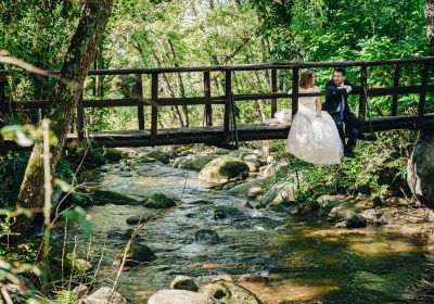 Mary y Sergio Postboda